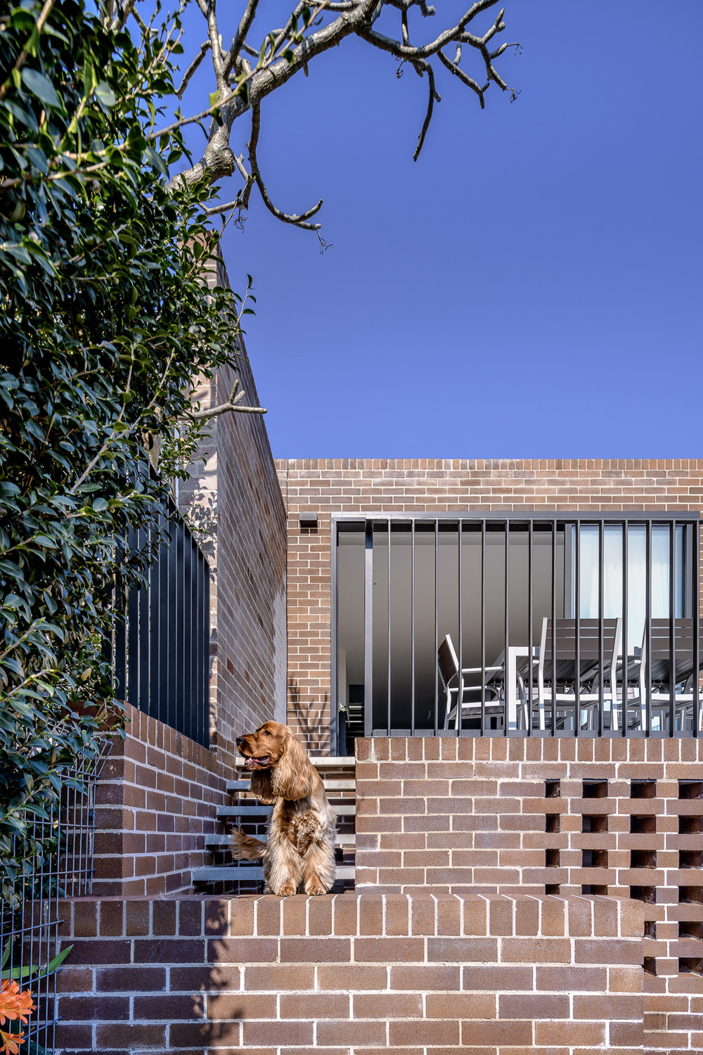 Monochrome House